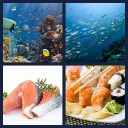 4 Bilder 1 Wort FISCH