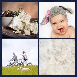4 Bilder 1 Wort SCHAF