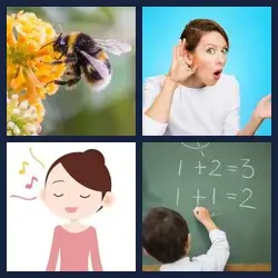 4 Bilder 1 Wort SUMMEN