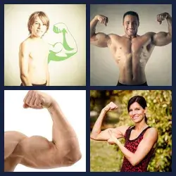 4 Bilder 1 Wort BIZEPS