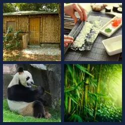 4 Bilder 1 Wort BAMBUS
