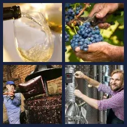 4 Bilder 1 Wort WINZER