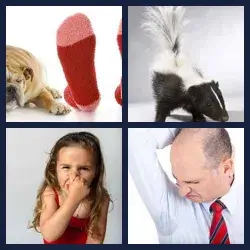 4 Bilder 1 Wort STINKEN