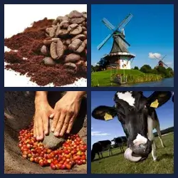 4 Bilder 1 Wort MAHLEN