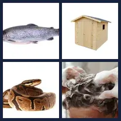 4 Bilder 1 Wort SCHUPPEN