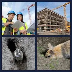 4 Bilder 1 Wort BAU